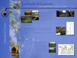 Histoires de Cerises