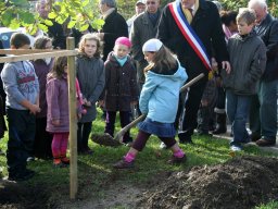 Cérémonie du 11 novembre