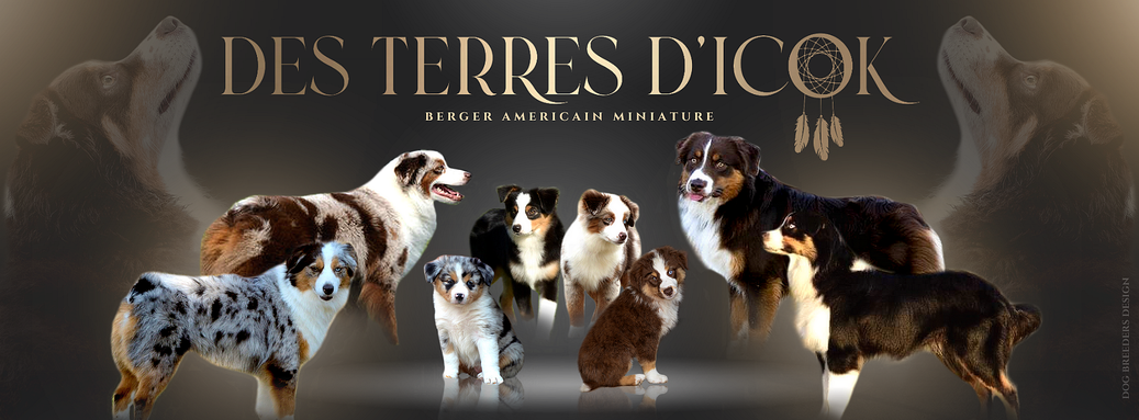 Des Terres d'Icok