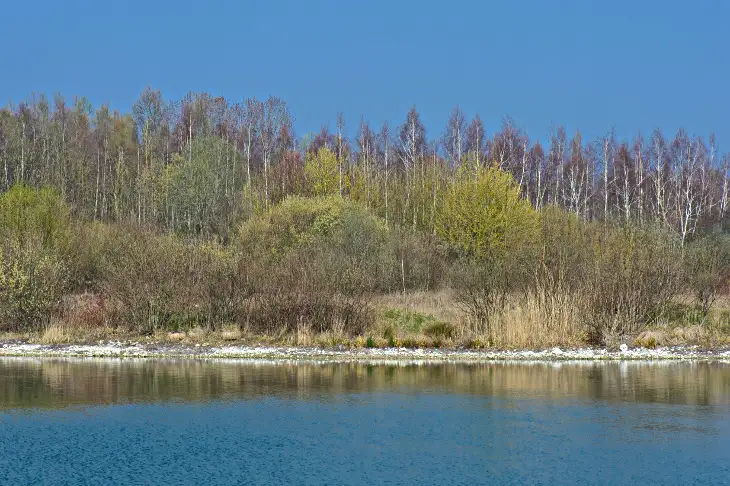2014 flicourt vue sur l etang 730