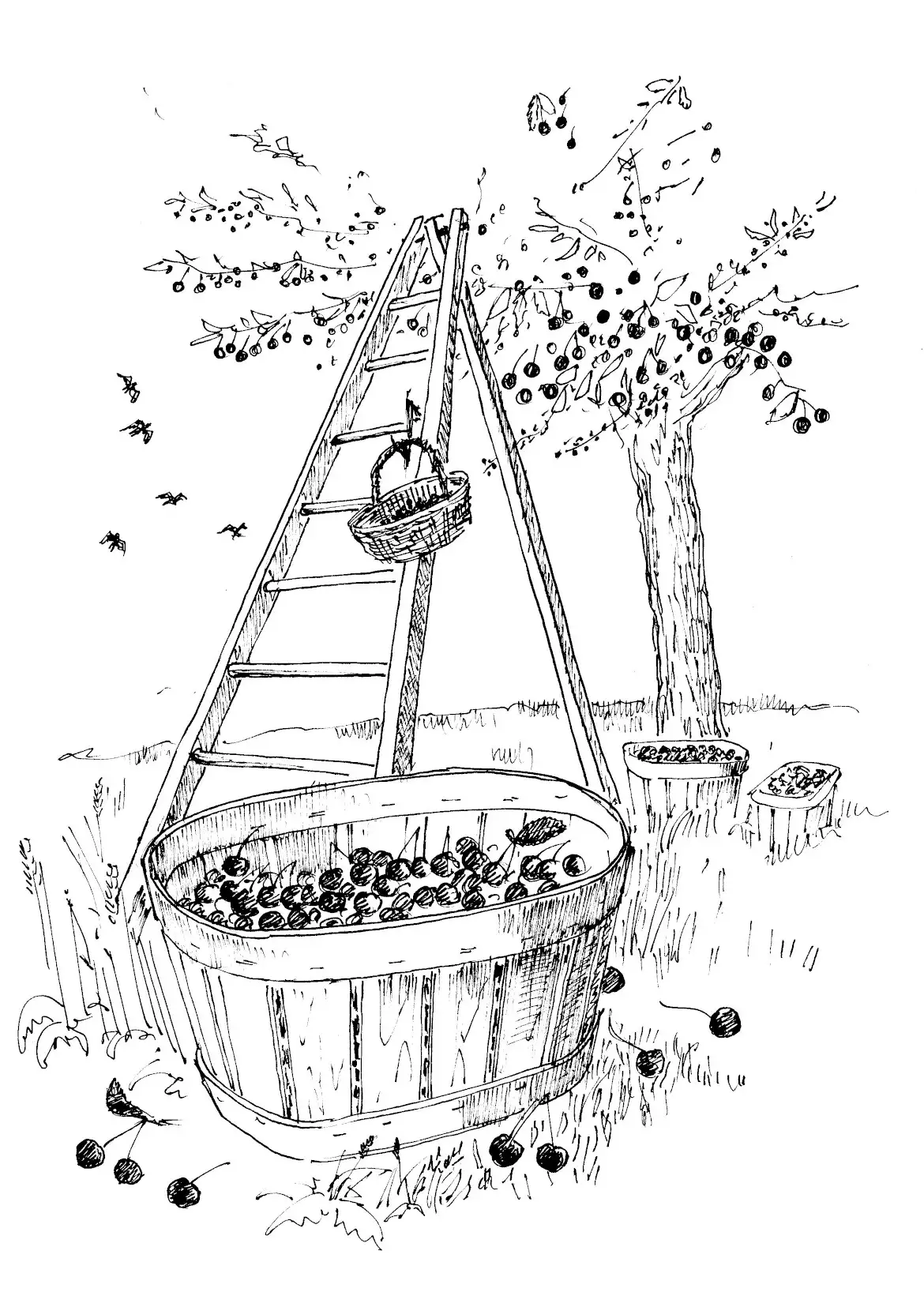 Dessin original de l'illustrateur Gérald Pritchard publiable avec l'aimable autorisation de l'artiste Dessin Gérald Pritchard 1170